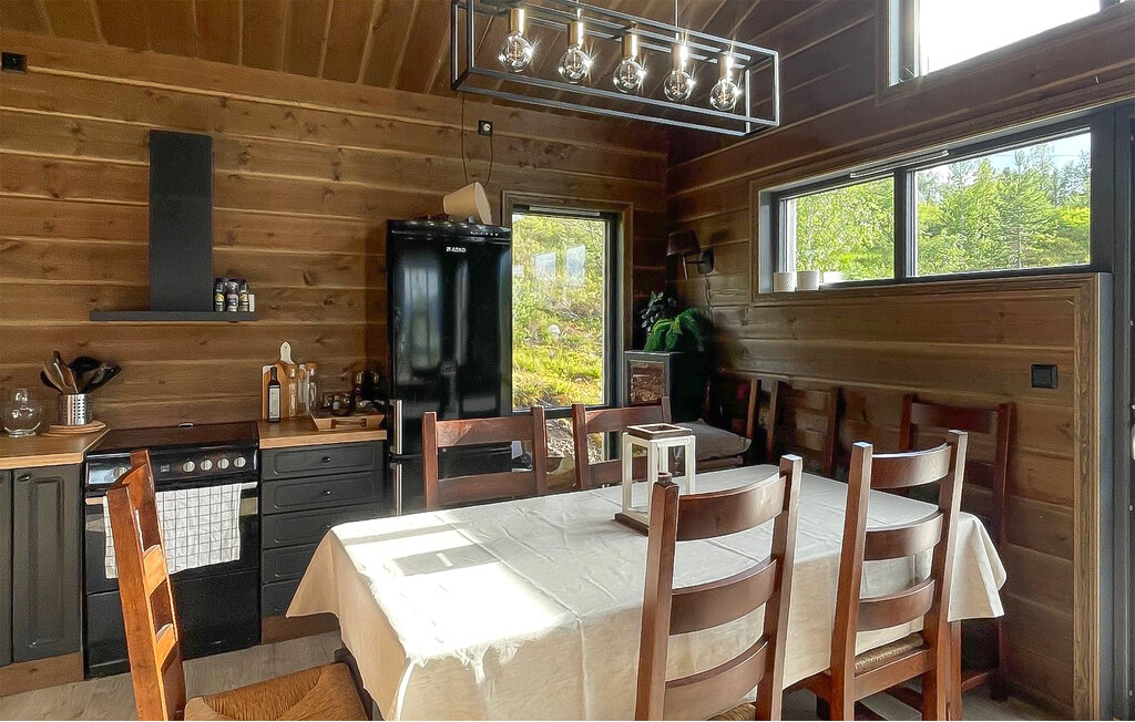 Ferienhaus - Bortelid, Åseral , Norwegen - NVI025 15