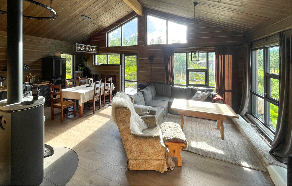 Ferienhaus - Bortelid, Åseral , Norwegen - NVI025 3