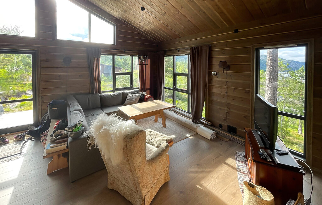 Ferienhaus - Bortelid, Åseral , Norwegen - NVI025 12