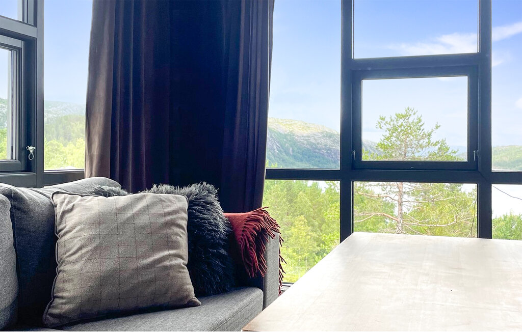 Ferienhaus - Bortelid, Åseral , Norwegen - NVI025 14