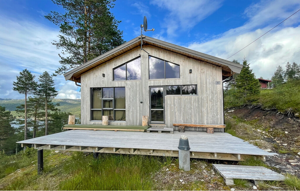 Ferienhaus - Bortelid, Åseral , Norwegen - NVI025 10