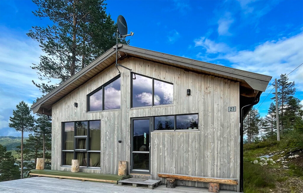 Ferienhaus - Bortelid, Åseral , Norwegen - NVI025 6