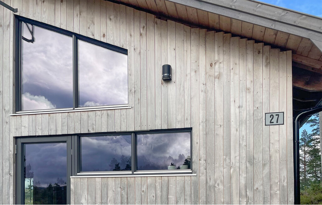 Ferienhaus - Bortelid, Åseral , Norwegen - NVI025 11