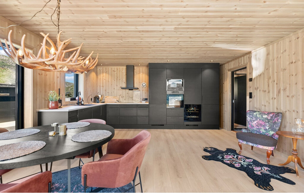 Feriehuse - Ljosland, Åseral , Norge - NVI031 27