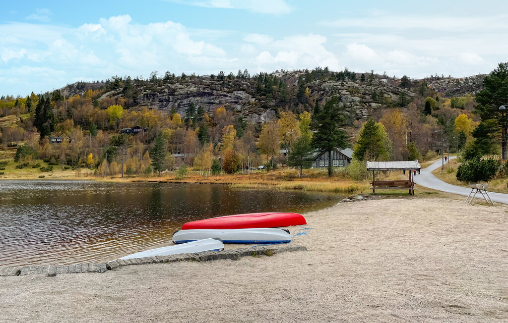 Domy wakacyjne - Bortelid/Åseral , Norwegia - NVI033 7