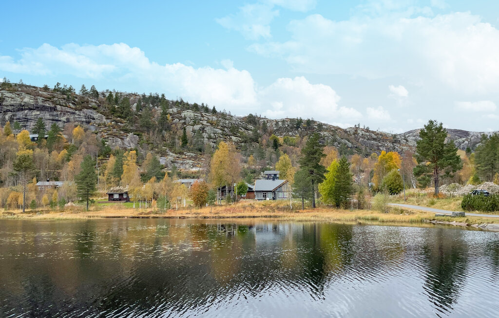 Domy wakacyjne - Bortelid/Åseral , Norwegia - NVI033 20