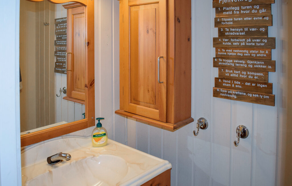 Domy wakacyjne - Bortelid/Åseral , Norwegia - NVI033 16