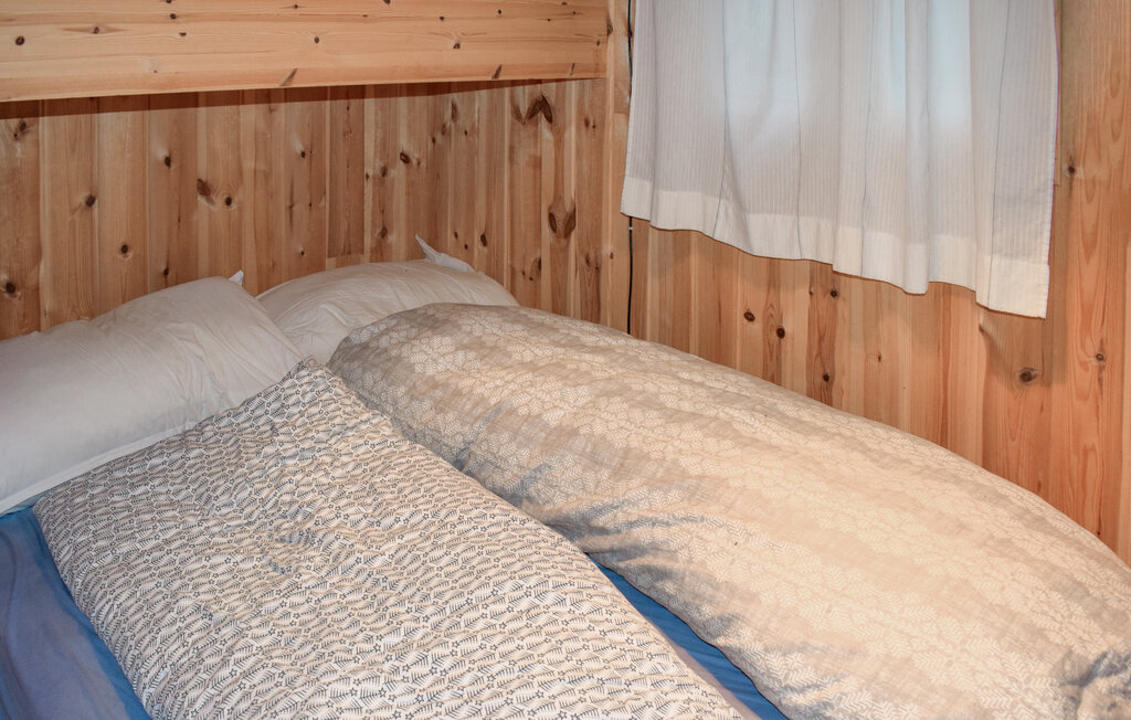 Domy wakacyjne - Bortelid/Åseral , Norwegia - NVI033 13