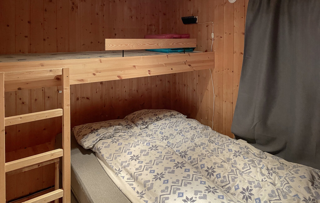 Domy wakacyjne - Bortelid/Åseral , Norwegia - NVI033 14