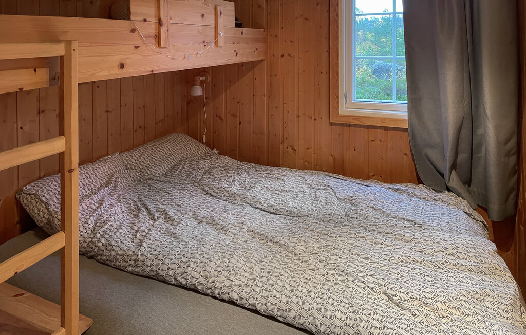 Domy wakacyjne - Bortelid/Åseral , Norwegia - NVI033 15