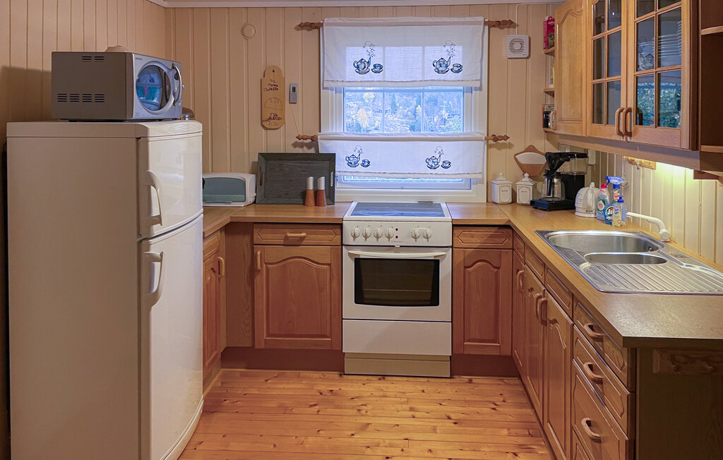 Domy wakacyjne - Bortelid/Åseral , Norwegia - NVI033 5