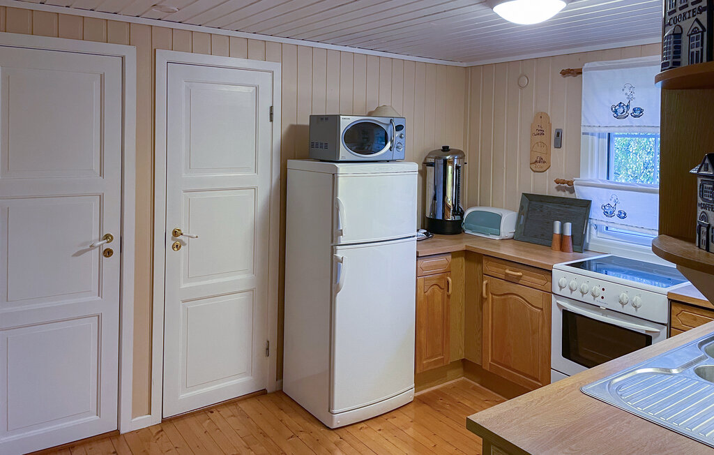 Domy wakacyjne - Bortelid/Åseral , Norwegia - NVI033 6