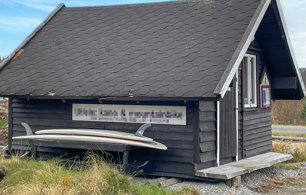 Domy wakacyjne - Bortelid/Åseral , Norwegia - NVI033 9