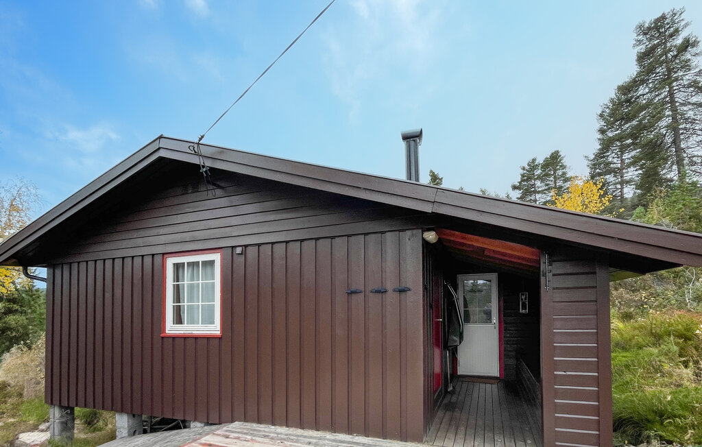 Domy wakacyjne - Bortelid/Åseral , Norwegia - NVI033 11