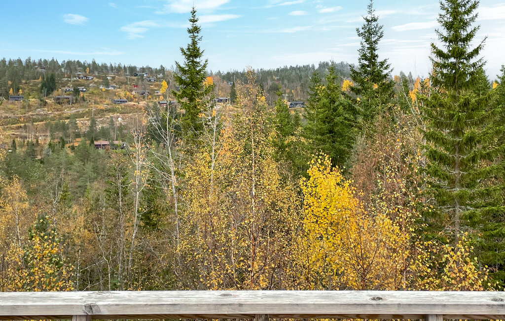 Domy wakacyjne - Bortelid/Åseral , Norwegia - NVI033 12