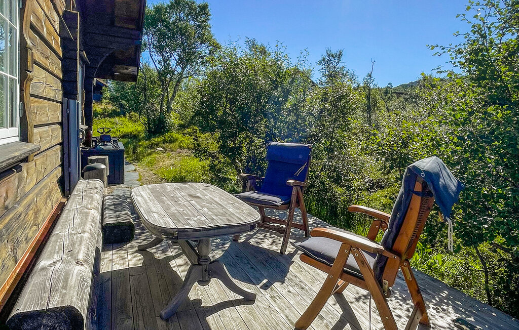 Feriehus - Hovden i Setesdal , Norge - NVI050 12