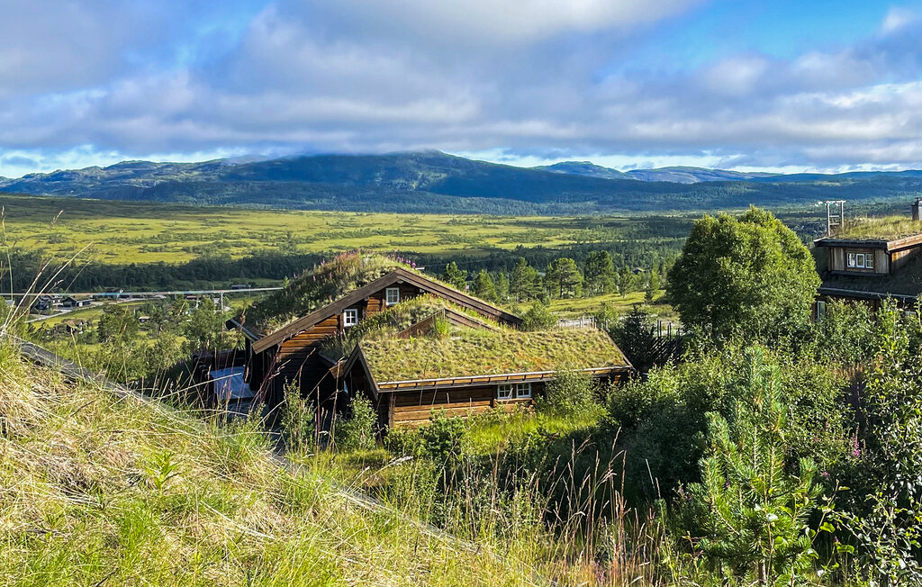 Feriehus - Hovden i Setesdal , Norge - NVI050 16