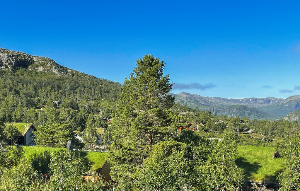 Feriehus - Hovden i Setesdal , Norge - NVI050 17