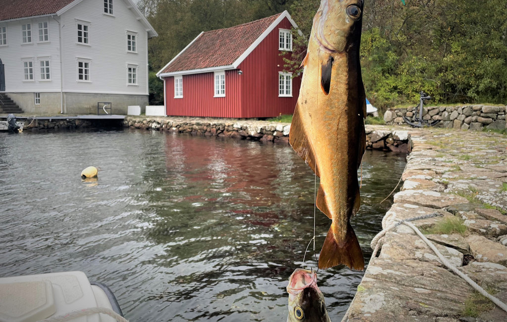 Feriehuse - Loshavn Farsund , Norge - NVK120 23