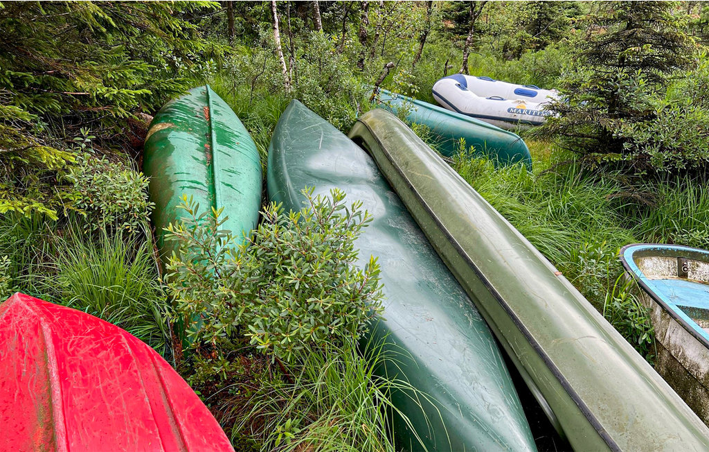 Feriehuse - Lyngdal , Norge - NVK156 23