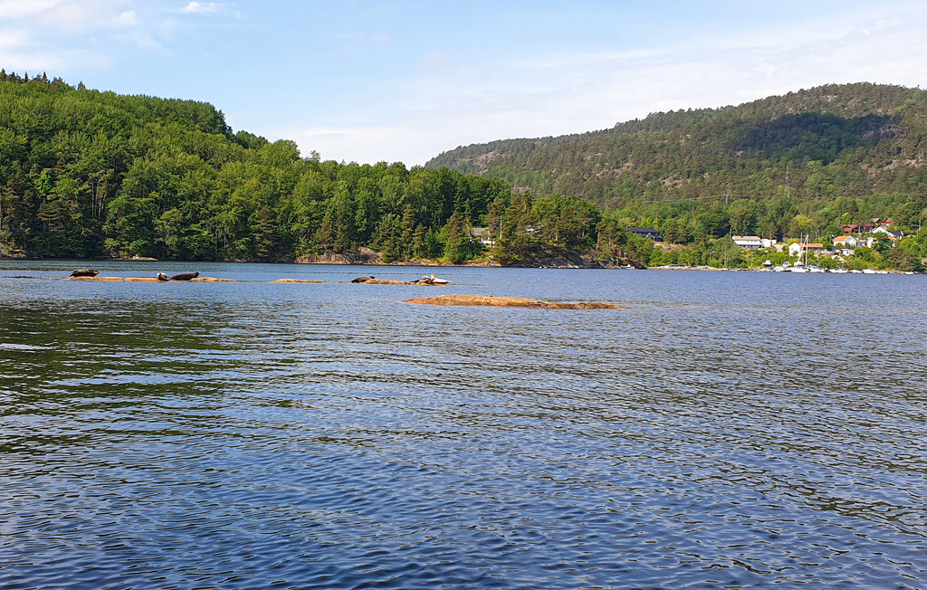Feriehus - Kristiansand , Norge - NVK127 7