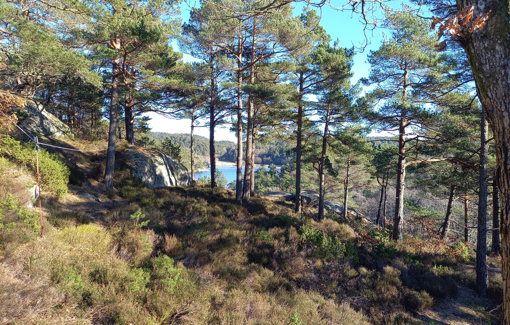 Feriehuse - Mandal , Norge - NVK116 7