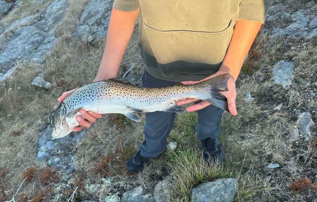 Feriehuse - Loshavn Farsund , Norge - NVK120 26