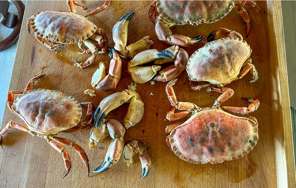 Feriehus - Mandal , Norge - NVK192 30