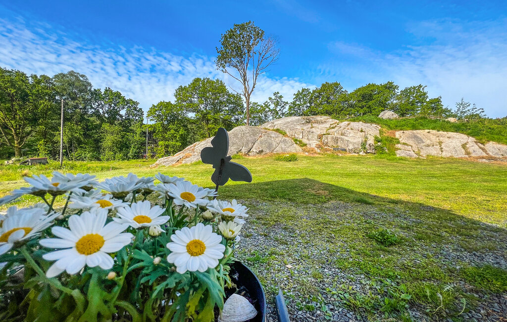 Feriehus - Farsund , Norge - NVK226 11