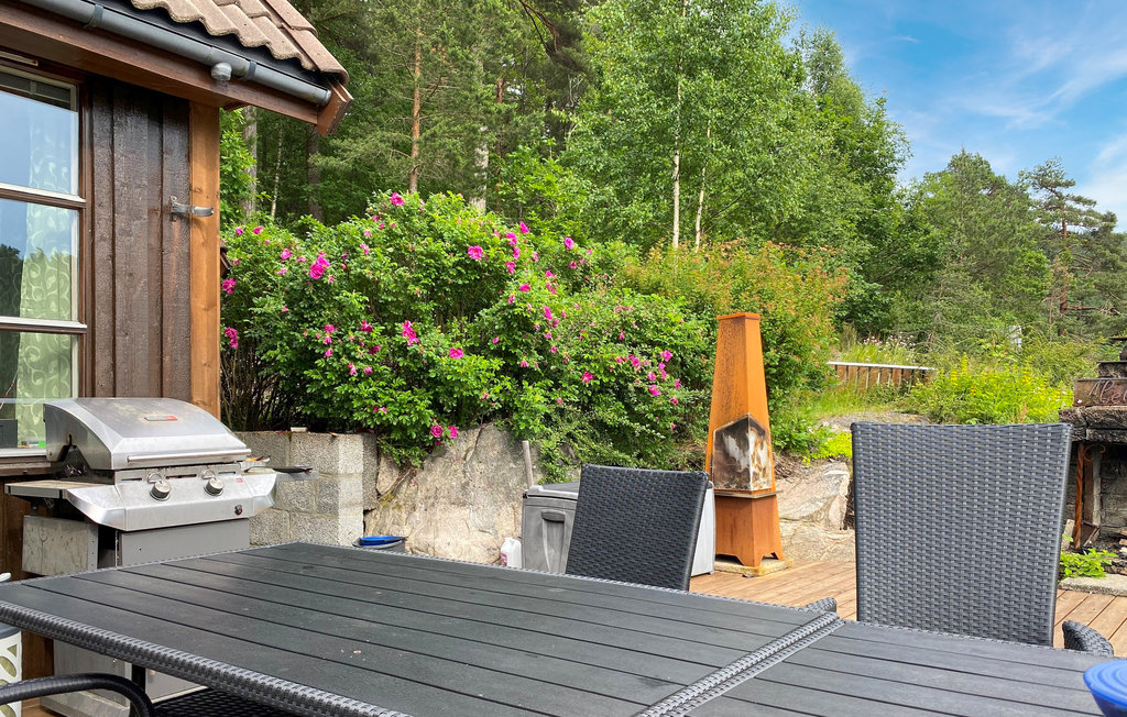 Bild 5 Bild 5