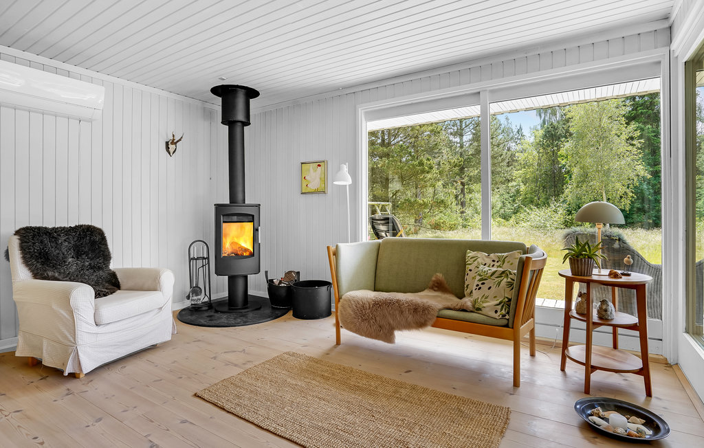 Semesterhus - Ho , Danmark - P32557 5