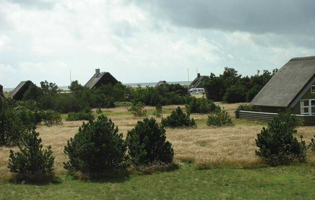 Feriehus - Blåvand , Danmark - P32080 27