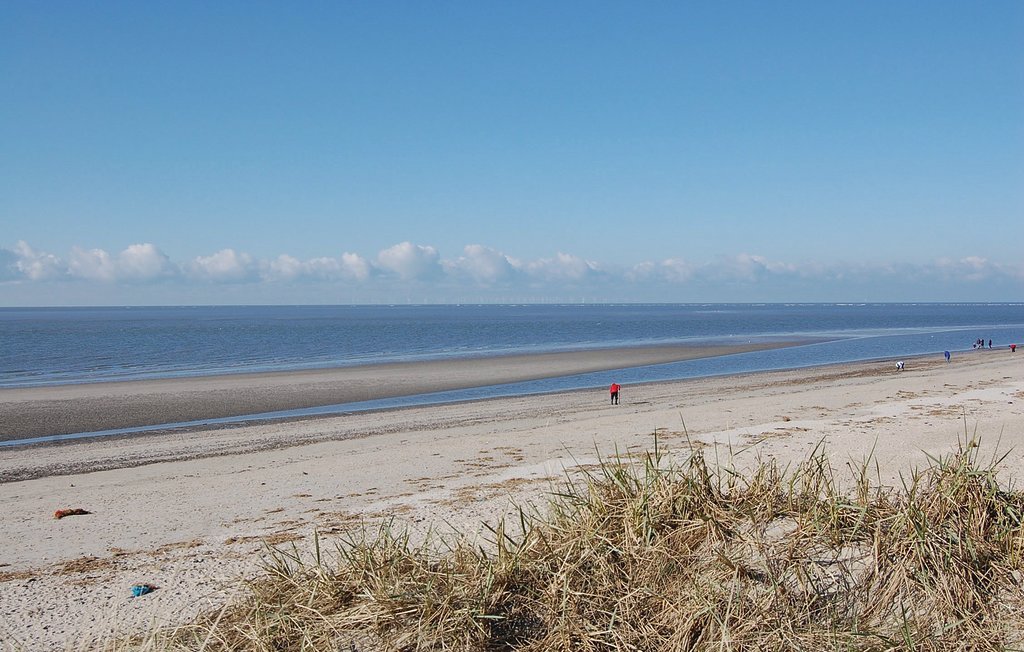 Feriehuse - Blåvand , Danmark - P32071 18