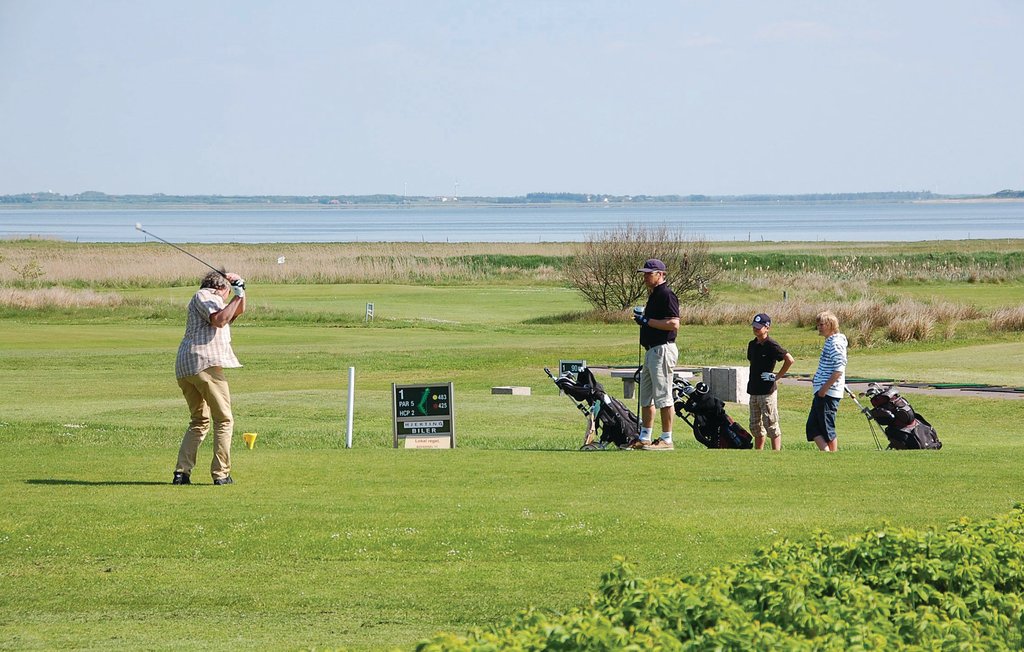 Feriehuse - Ho , Danmark - P32497 22