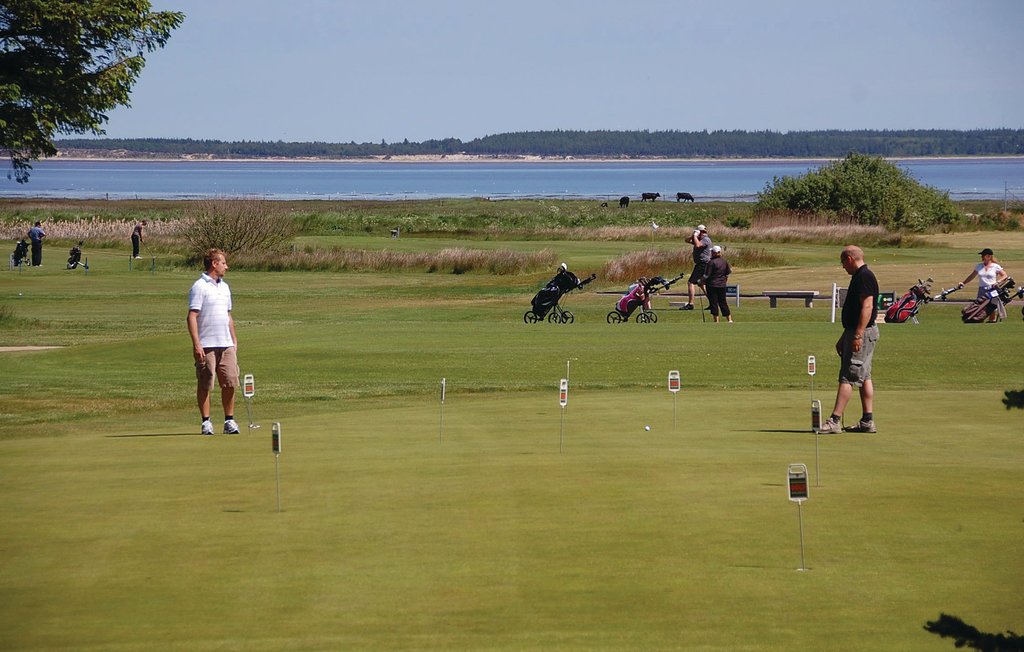 Ferienhaus - Blåvand , Dänemark - P32353 38