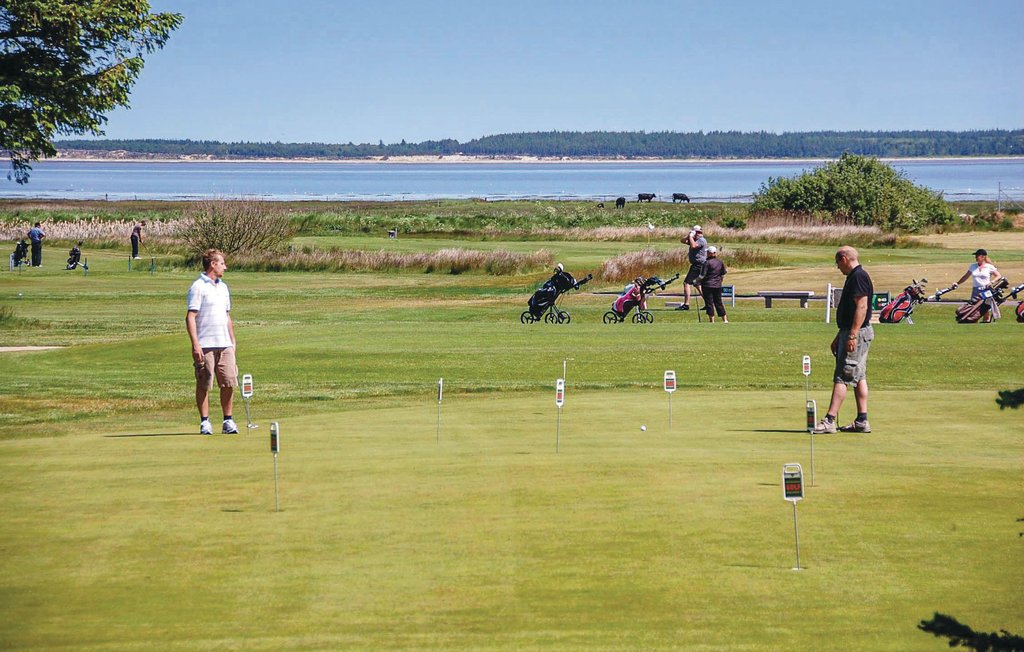 Semesterhus - Blåvand , Danmark - P32152 39