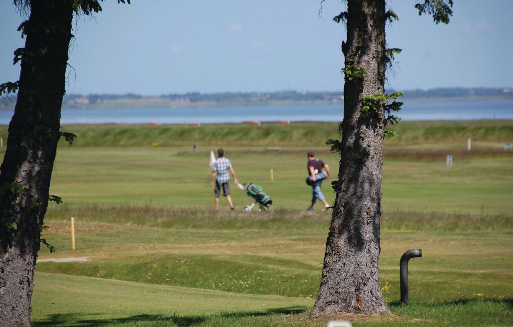 Semesterhus - Blåvand , Danmark - P32421 42