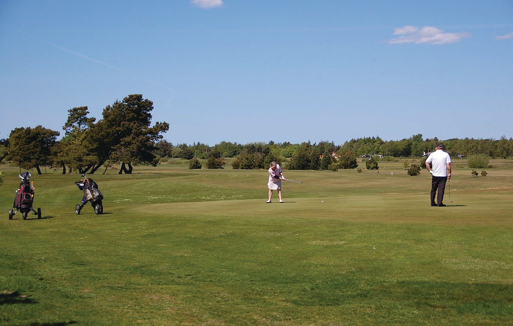 Feriehuse - Ho , Danmark - P32439 40