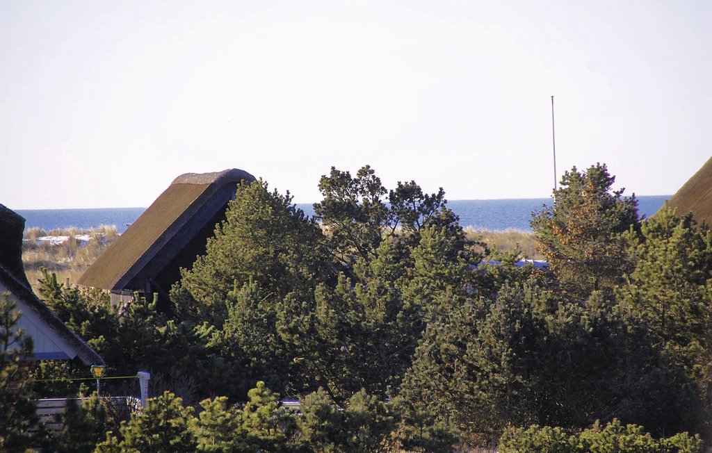 Feriehus - Blåvand , Danmark - P32080 31