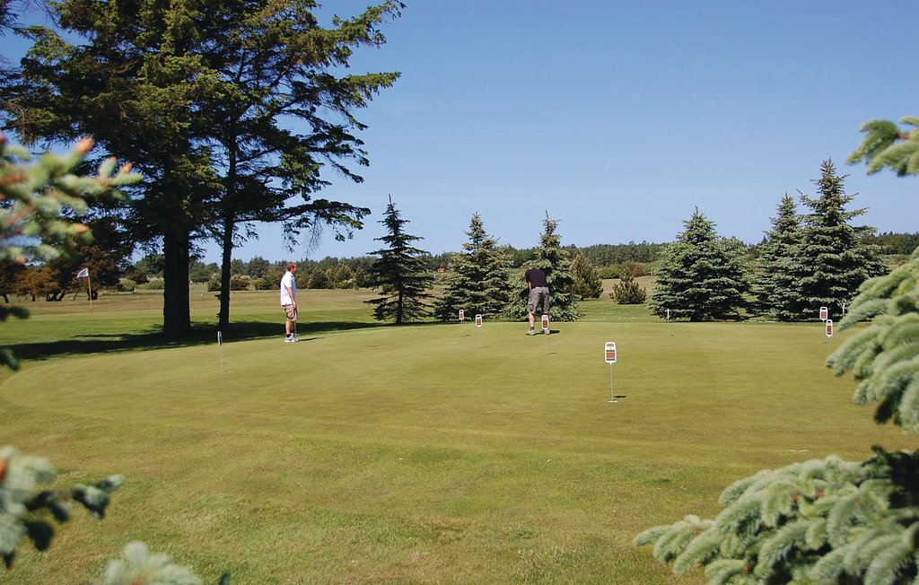 Ferienhaus - Ho , Dänemark - P32094 31