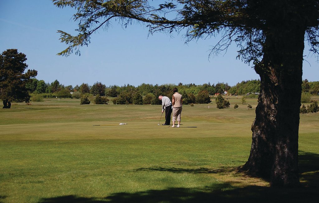 Feriehuse - Ho , Danmark - P32439 39