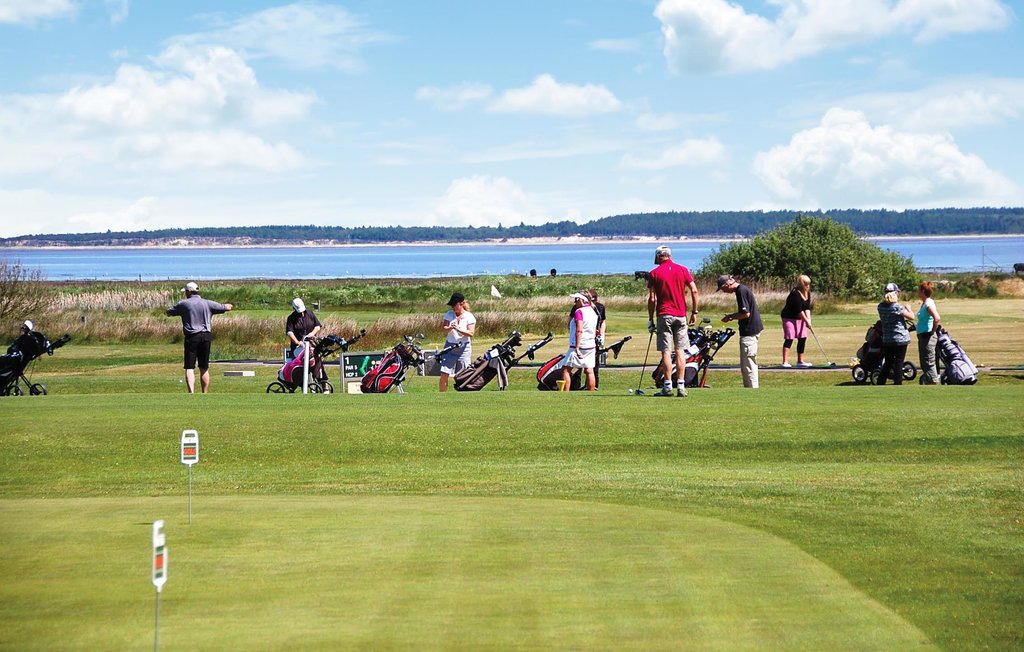 Ferienhaus - Blåvand , Dänemark - P32512 34
