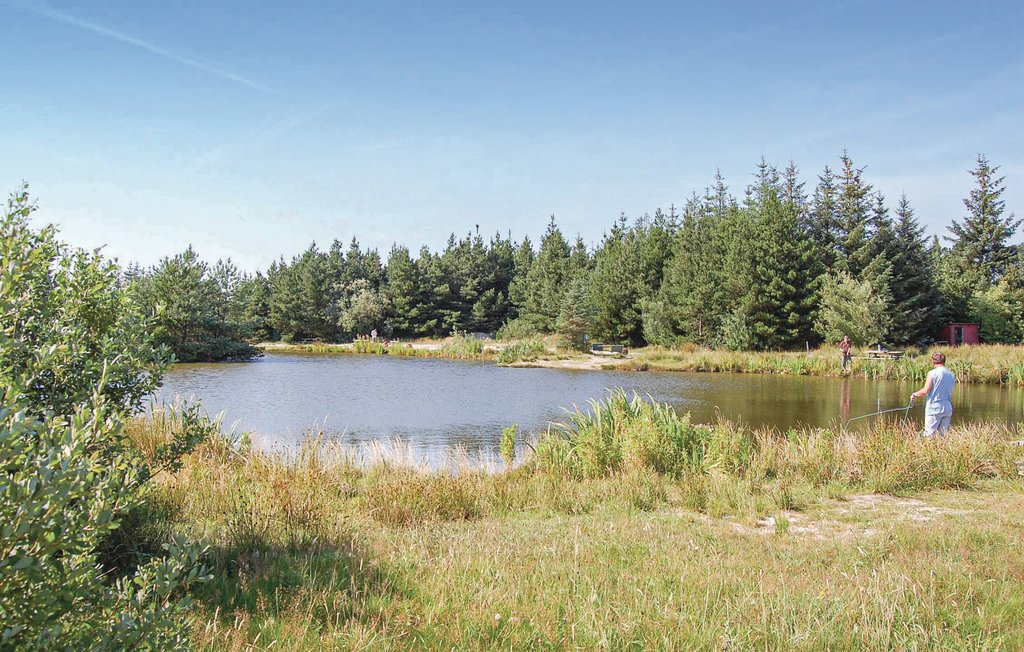 Semesterhus - Ho , Danmark - P32557 29