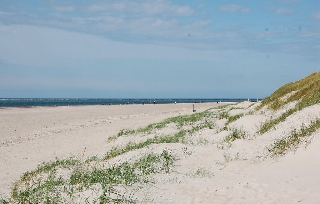 Feriehus - Blåvand , Danmark - P32774 21