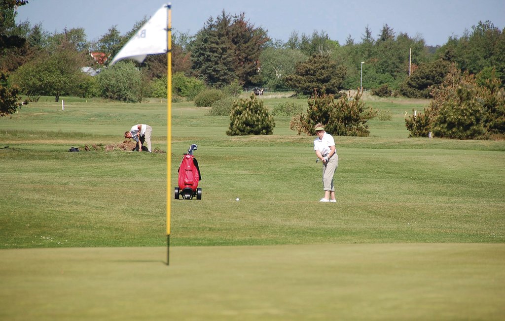 Feriehuse - Blåvand , Danmark - P32071 19