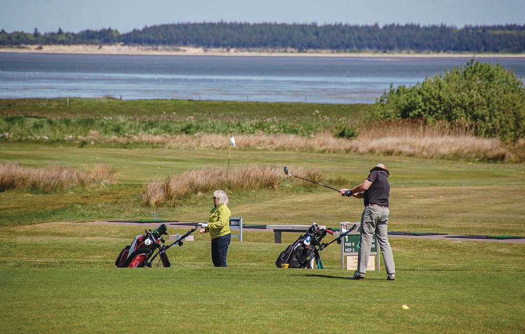 Semesterhus - Ho , Danmark - P32557 27