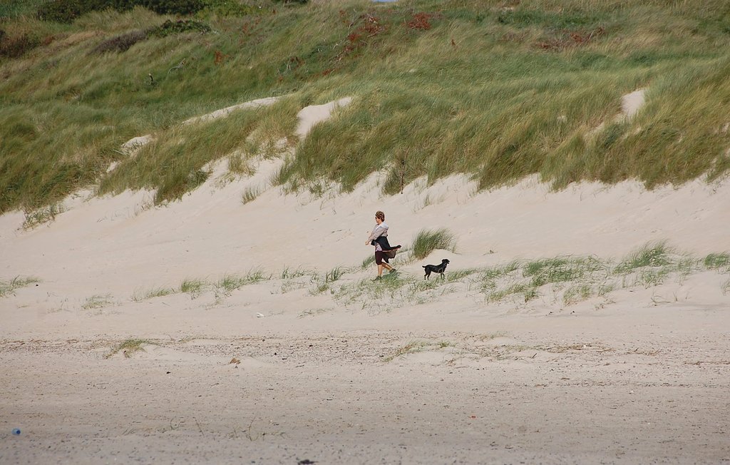 Semesterhus - Blåvand , Danmark - P32333 23