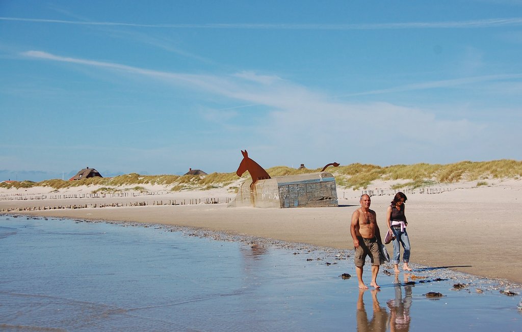 Ferienhaus - Blåvand , Dänemark - P32397 26