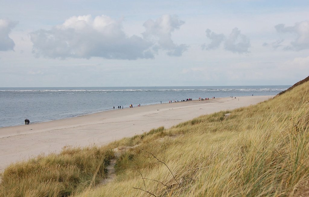 Ferienhaus - Blåvand , Dänemark - P32762 27