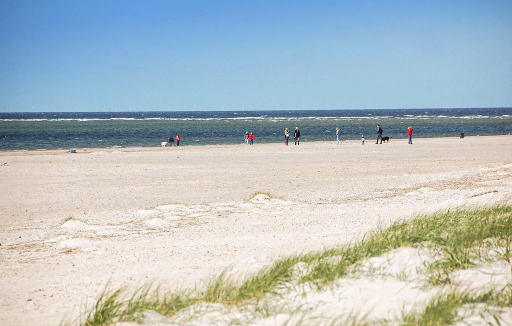 Feriehuse - Blåvand , Danmark - P32043 21